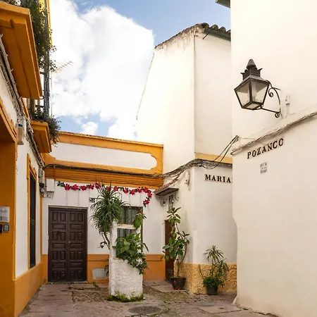 Limehome Calle Pozanco - Center 公寓 *