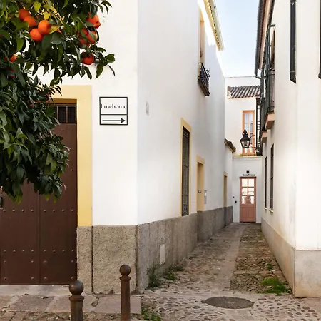Appartamento Limehome Calle Pozanco *